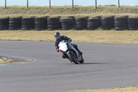 7th-March-2020;Anglesey-Race-Circuit;No-Limits-Track-Day;anglesey-no-limits-trackday;anglesey-photographs;anglesey-trackday-photographs;enduro-digital-images;event-digital-images;eventdigitalimages;no-limits-trackdays;peter-wileman-photography;racing-digital-images;trac-mon;trackday-digital-images;trackday-photos;ty-croes